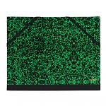 Папка Canson Carton a Dessin Studio, 2 эластичные резинки, зеленая