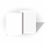 Блокнот 2х3 EcoBoards, для флипчарта, клетка, 80 гр/м2, 58 х 83 см, 10 листов