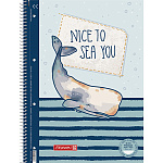 Тетрадь в линейку на пружине А4 Brunnen Колледж Океан, микроперфорация, 90 гр/м2, 80 листов